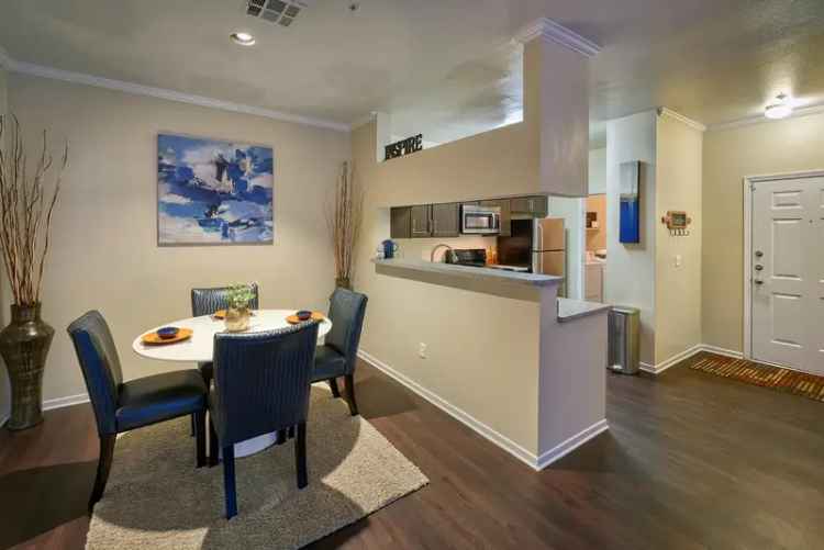 Rent Luxury Apartments in Thornton with Modern Amenities and Pet Friendly