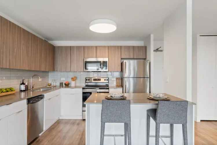 Rent Unique Apartments in Chicago with Stunning Amenities