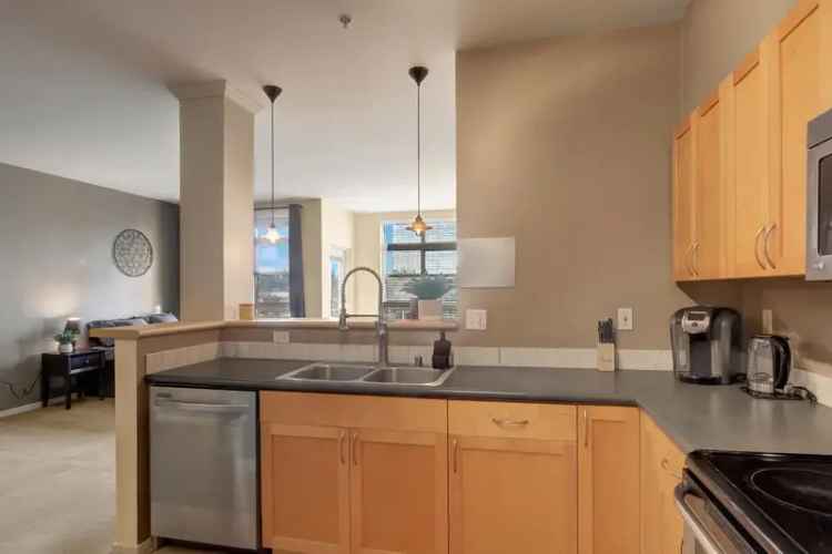 Rent Bellevue Studio Apartment with City Views and Private Patio