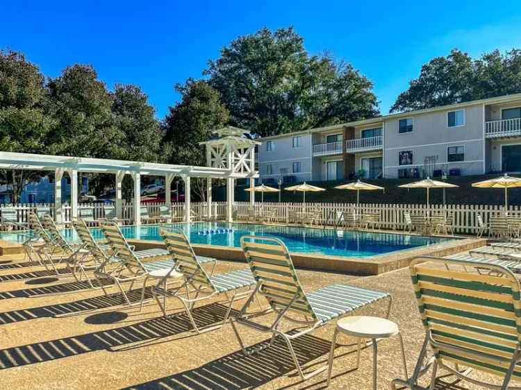 Rent Apartments in Tallahassee with Spacious Layouts and Upgrades