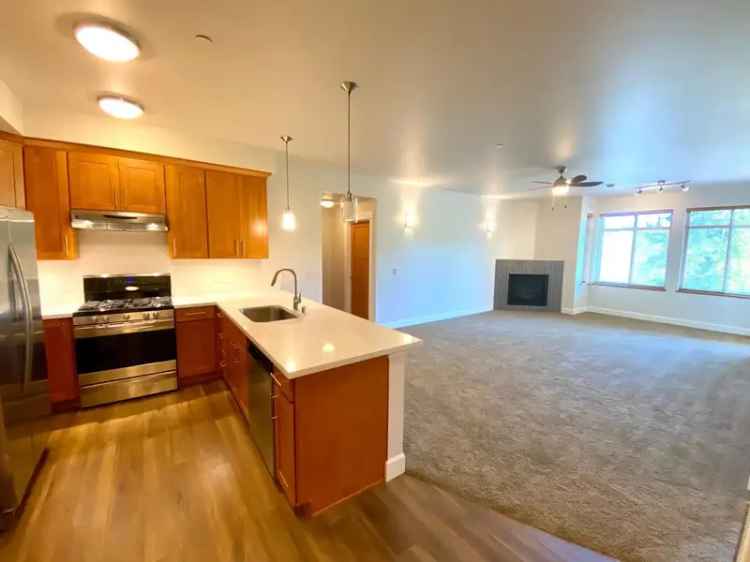 Modern Apartments for Rent with Amenities in a Beautiful Building