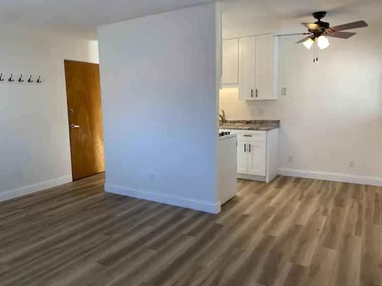 Rent Fully Renovated 1-BR Apartment in Prime Minneapolis Location