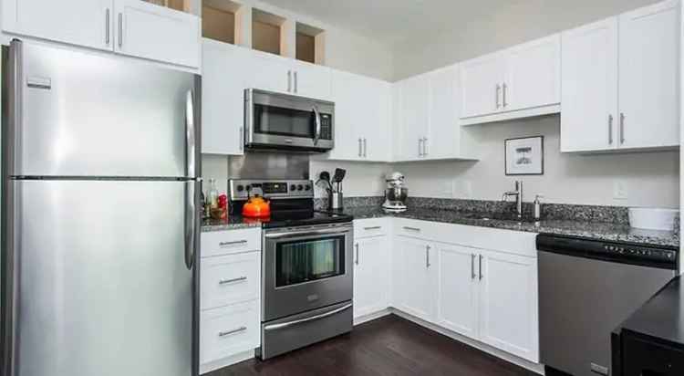 Rent High End Apartment in Allston Near Train