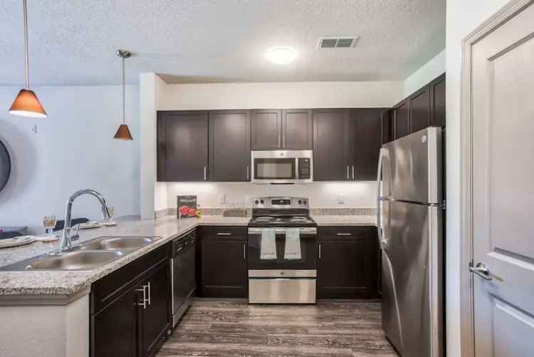 Rent Apartments in New Port Richey with Modern Features and Amenities