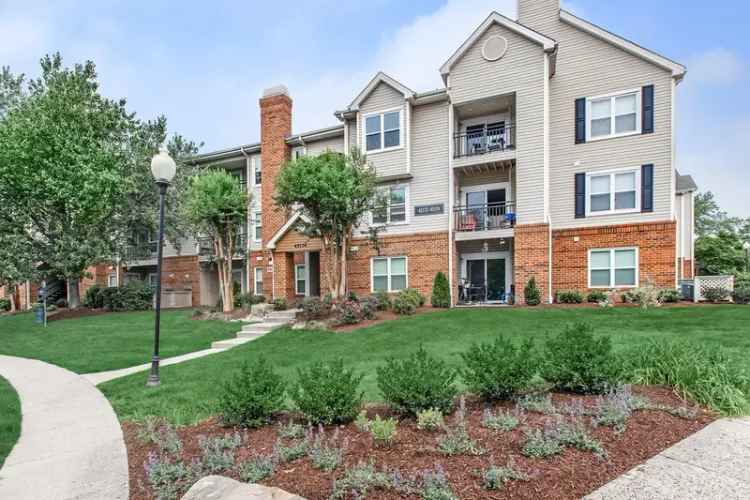 Rent Apartments in Ashburn with Park-like Setting and Convenience