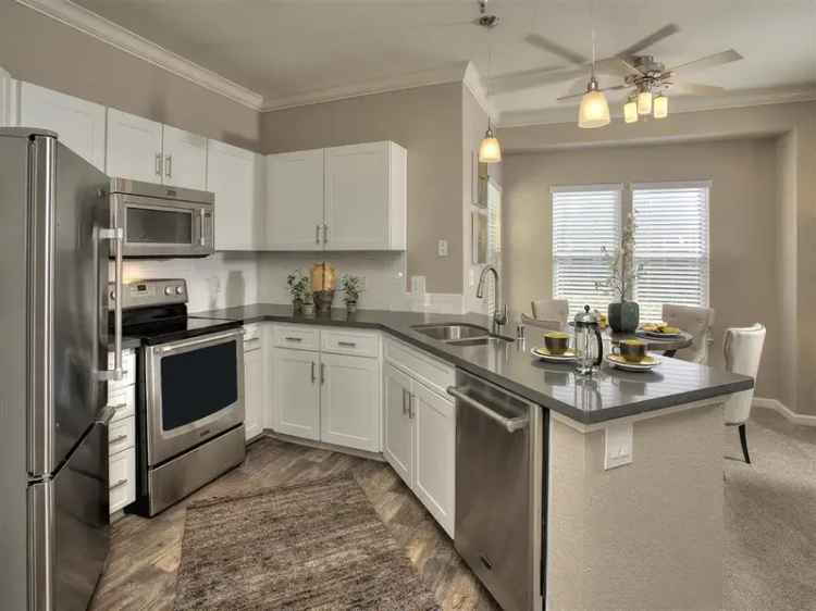 Rent modern apartments in Folsom with pet-friendly options