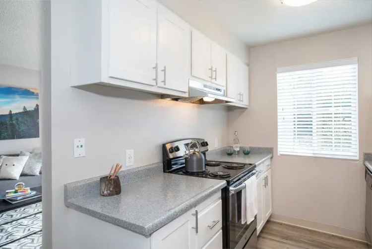 Rent Apartments in Reno with Spacious Layouts and Amenities