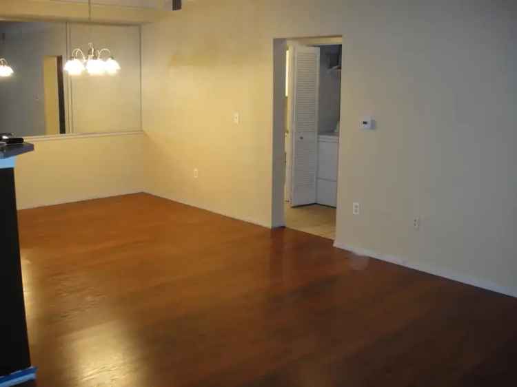 Rent 1 Bedroom Apartment in Prime Location with Patio Features