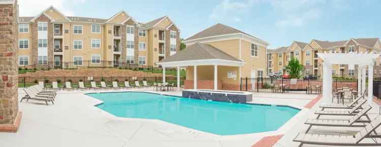 Rent Apartments with Luxury Features and Amenities