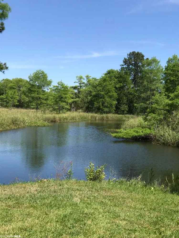 Waterfront land for sale near Fish River with spacious lot access