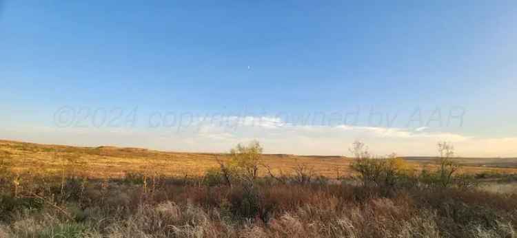 Buy Land in Valle De Oro with Endless Possibilities