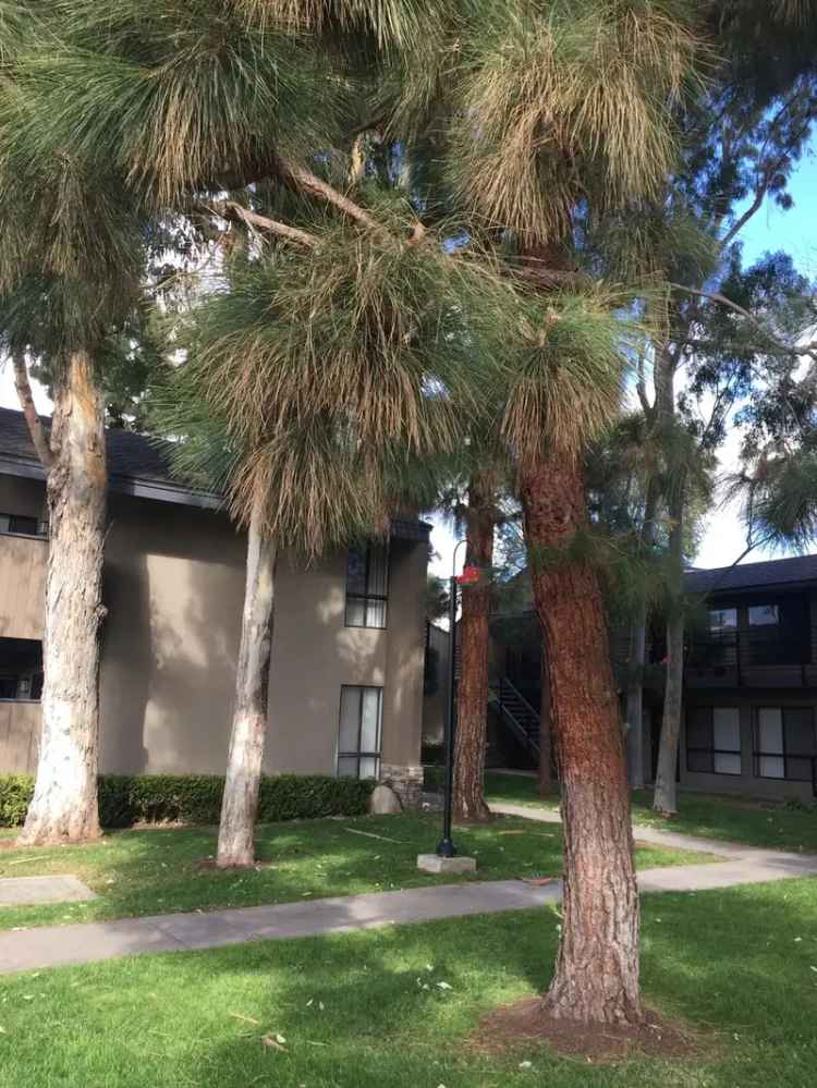 Rent Beautiful Studio Apartment in Costa Mesa with Pool and Parking