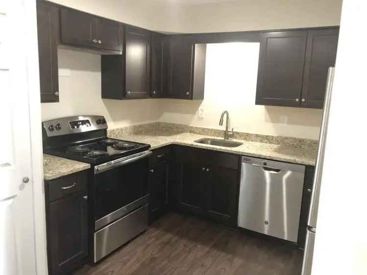 Rent Modern Apartment in Downtown Medina with Open Floor Plan and Amenities