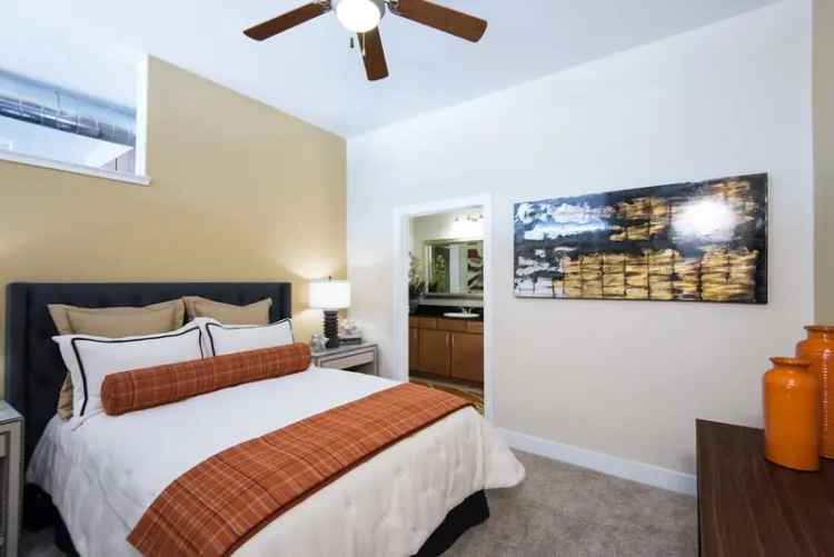 Rent Spacious Loft-Style Apartments in Denver with Great Amenities