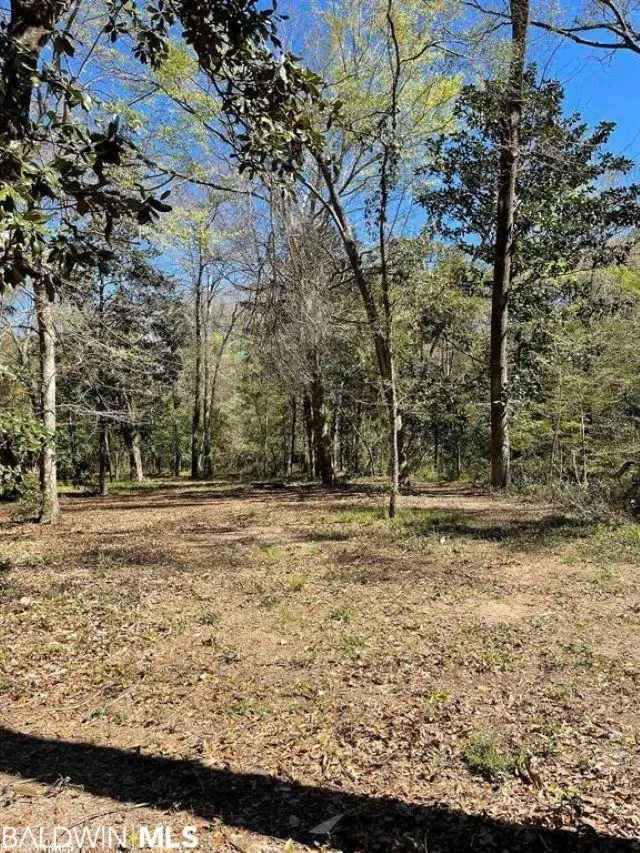 Buy Lot in Van Antwerp Park Fairhope with Arboretum and Trails