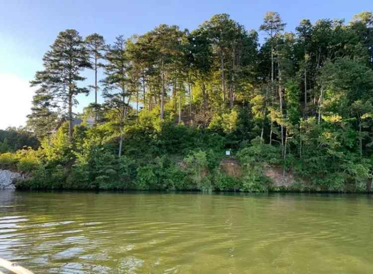 Build Your Dream Home Buy Waterfront Land Pickwick Lake