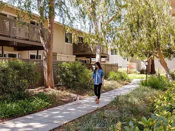 Rent Apartments in Cupertino with Luxe Amenities and Garden Style