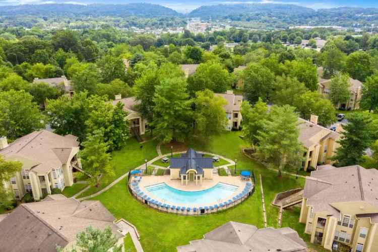 Rent Apartments in Knoxville with Scenic Nature and Great Amenities