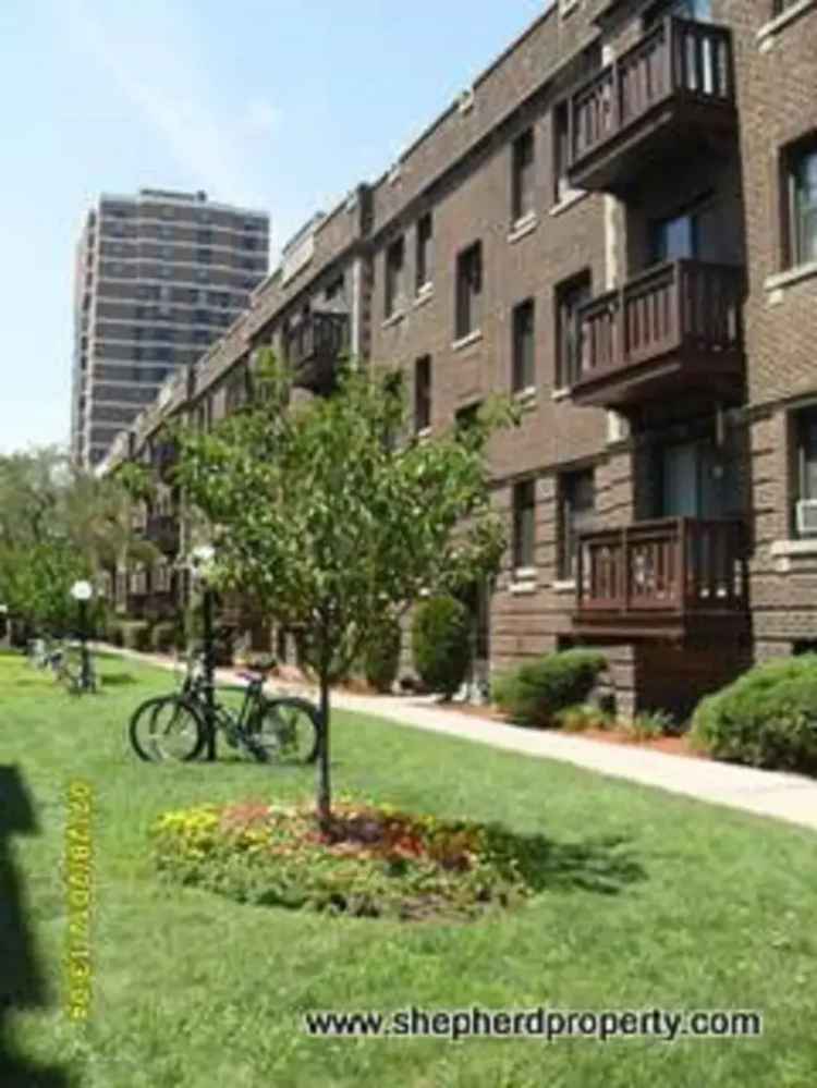 Rent Vintage Apartments in Lakeview Near Wellington and Belmont Stations