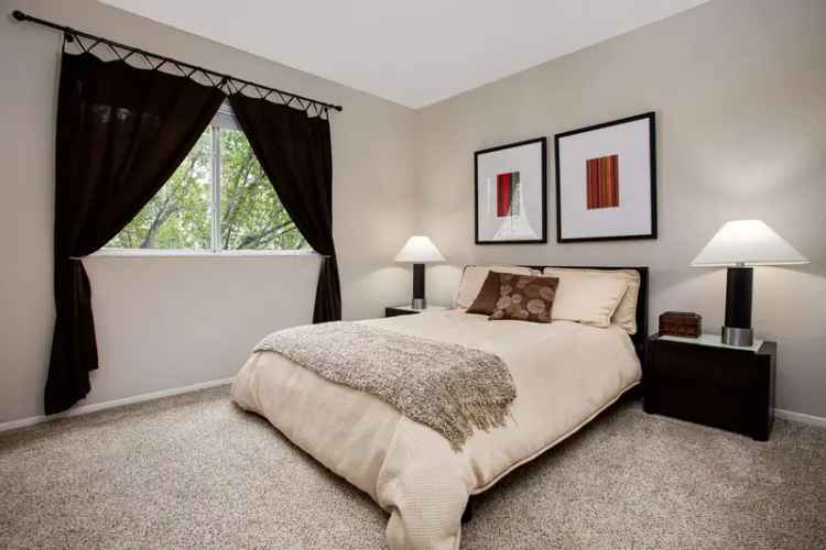 Rent Apartments in Coral Springs FL with Modern Features