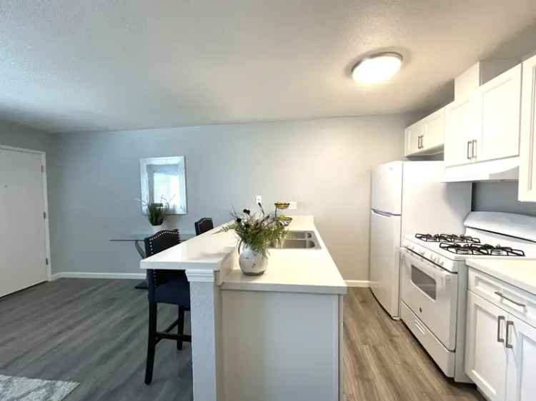 Rent Apartments Near Restaurants and Shopping with Renovated Features