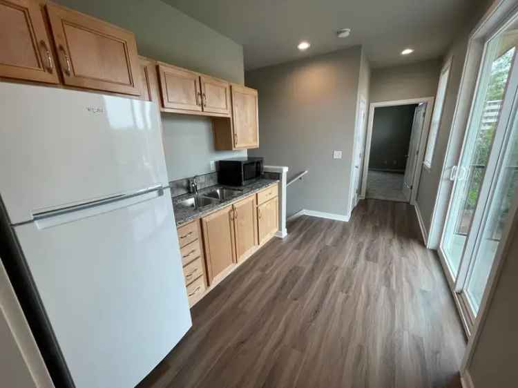 Rent 4 Bedroom Duplex in Downtown with Modern Amenities