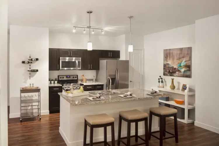 Rent Luxury Apartments in Roosevelt Park with Contemporary Finishes