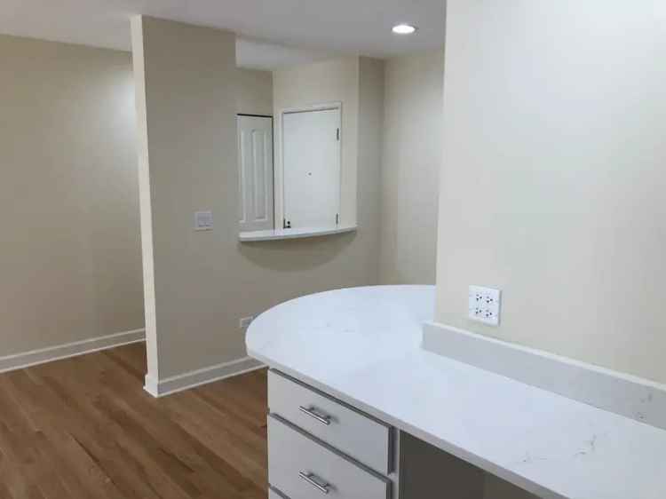 Rent 1 Bedroom Apartment in Downtown Arlington Heights with Parking