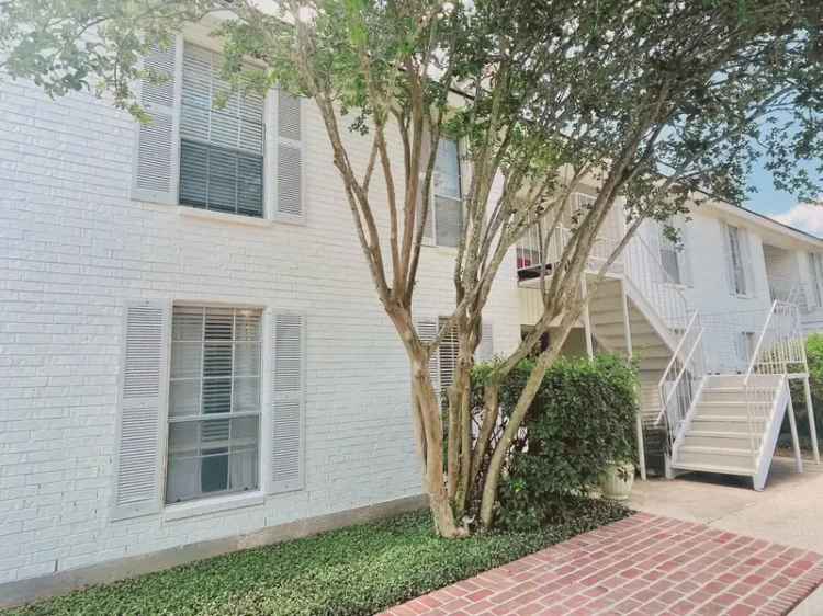 Rent Apartments in Baton Rouge with Modern Amenities and City Proximity