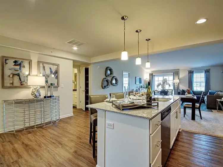 Rent Single Story Apartments in Ashwood Place with Modern Amenities