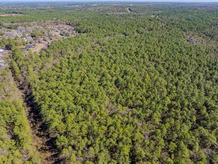 Build Your Dream Retreat on 18 Acres of Wooded Land in Mobile