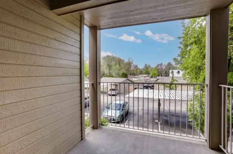 Rent Apartments in Boise with Modern Amenities and Community Access