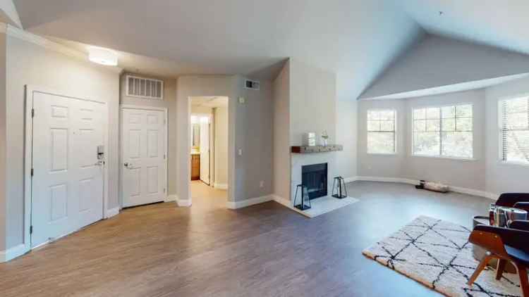 Rent Apartments in Downtown Lafayette with Stunning Amenities