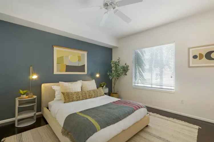 Luxury Apartment Rentals in Downtown Tampa with Modern Amenities