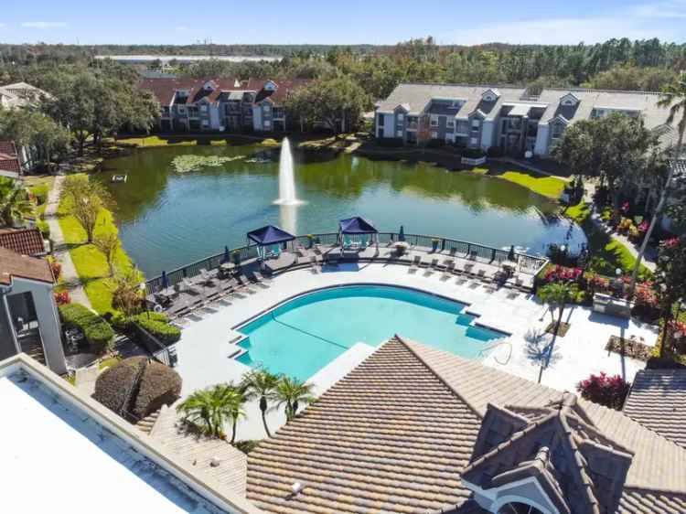 Rent Apartments in Orlando with Great Amenities and Scenic Surroundings