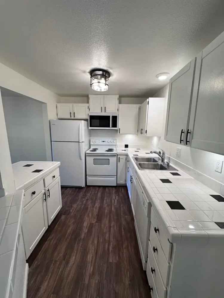 Rent Apartments in Olympia with Cat Friendly Features Near Capitol Lake