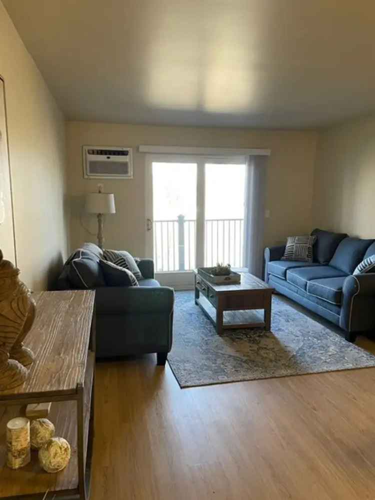 Rent Apartments in Albany with Modern Features and Pet Friendly Options