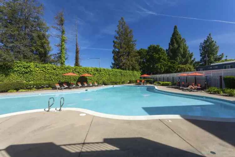 Rent Apartments with Amazing Amenities in Campbell CA