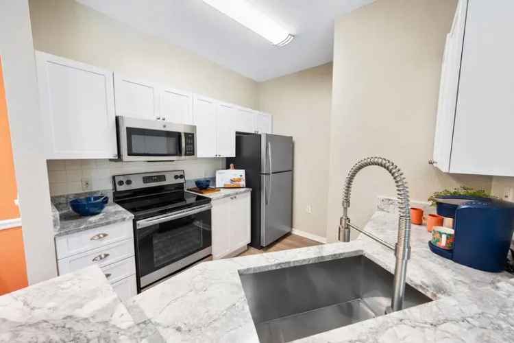 Rent Luxury Apartments in Sarasota with Community Amenities