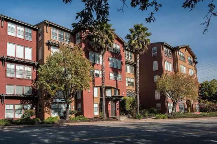 Rent Loft Style Apartments in San Rafael with Great Amenities