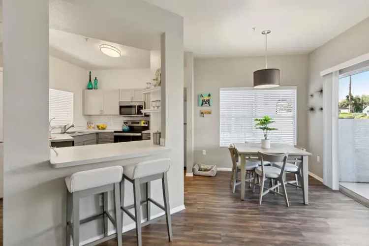 Rent Apartments in Chandler with Resort Style Amenities