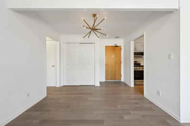 Rent Modern Apartment Unit in Park Ridge with Skylights and Amenities