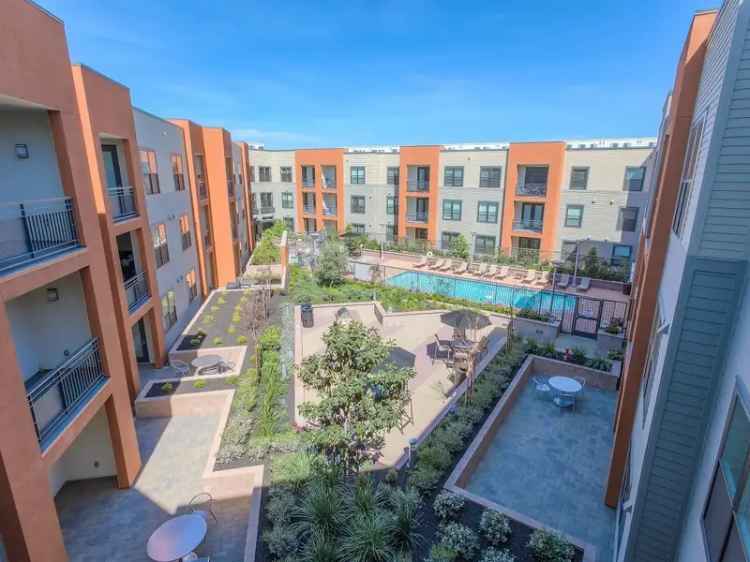 Rent Apartments in San Jose with Luxury Features and Community Feel