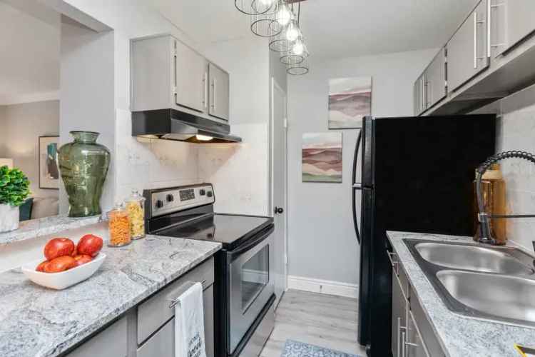 Rent Modern Apartments in South Houston with Stylish Amenities