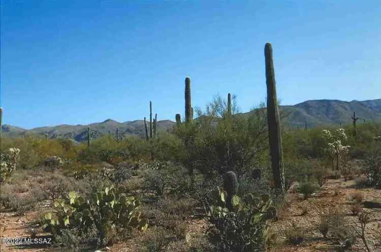 Buy Land in Central County with Potential Views and Desert Flora