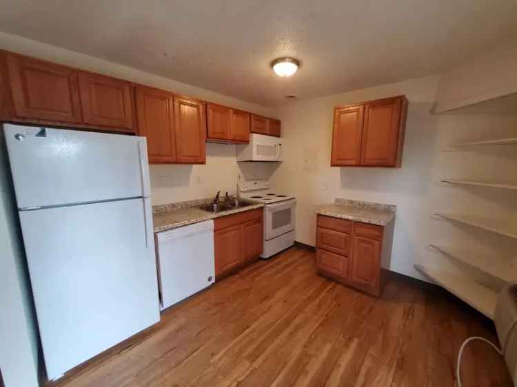 Rent Beautiful 1Bed 1Bath Apartment Close to Old Town Fort Collins