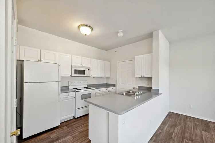 Rent Apartments in North Dallas with Comfort and Convenience Features