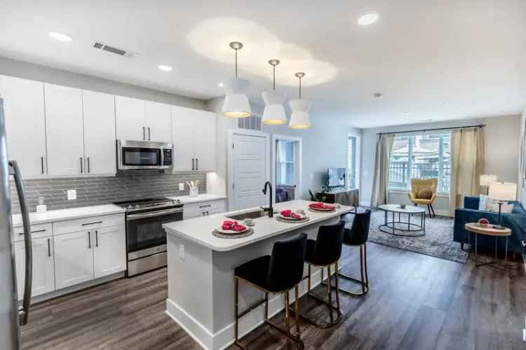 Rent Luxury Apartments in Uptown Charlotte with Stunning Views and Amenities