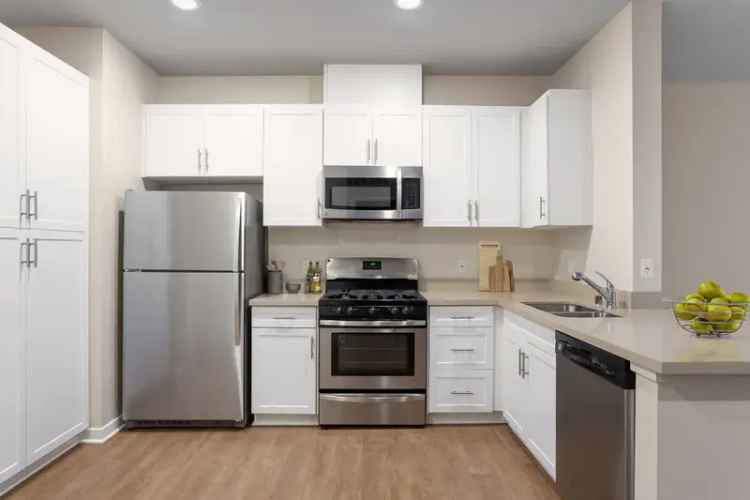 Rent Apartments in Van Nuys with Upscale Amenities and Community Features