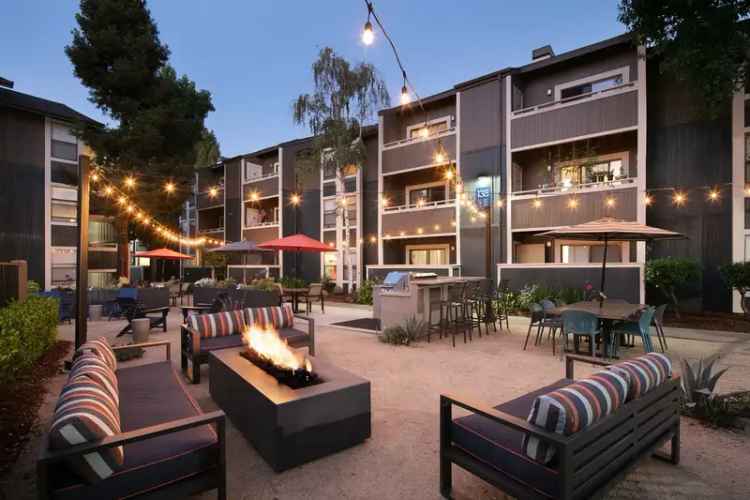 Rent Apartments in East Bay with Modern Amenities and Resort Style Living